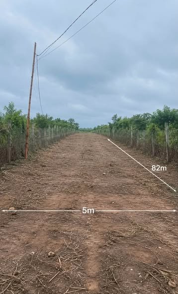 Cần bán đất đường Nguyễn Siêu