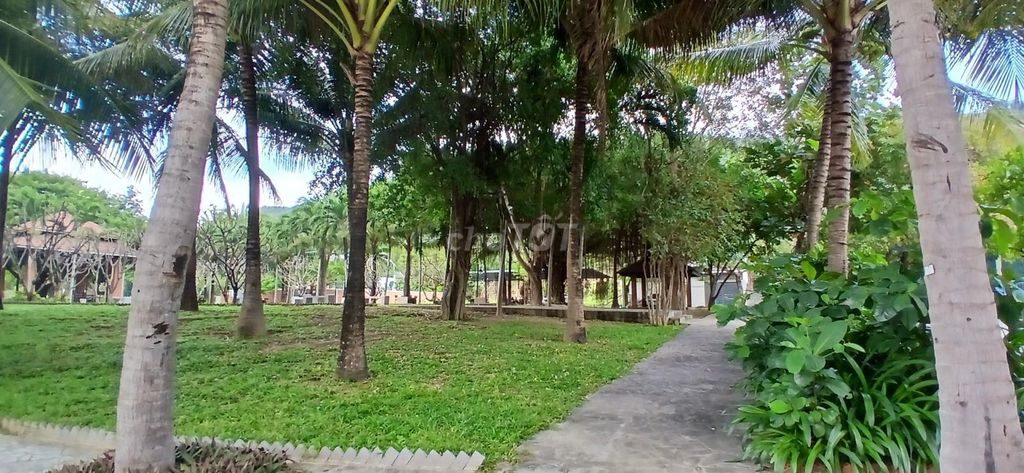 Bán đất Biệt thự biển Giáng Hương, 275m2, chỉ 24tr/m TP Nha Trang