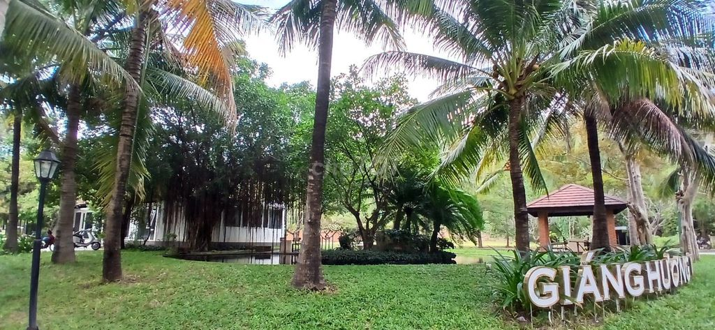 Bán đất Biệt thự biển Giáng Hương, 275m2, chỉ 24tr/m TP Nha Trang - Ảnh 7