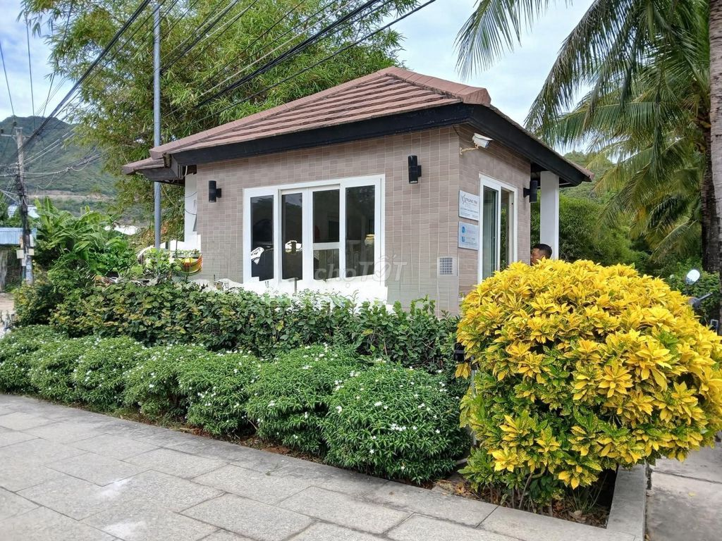 Bán đất Biệt thự biển Giáng Hương, 275m2, chỉ 24tr/m TP Nha Trang - Ảnh 8
