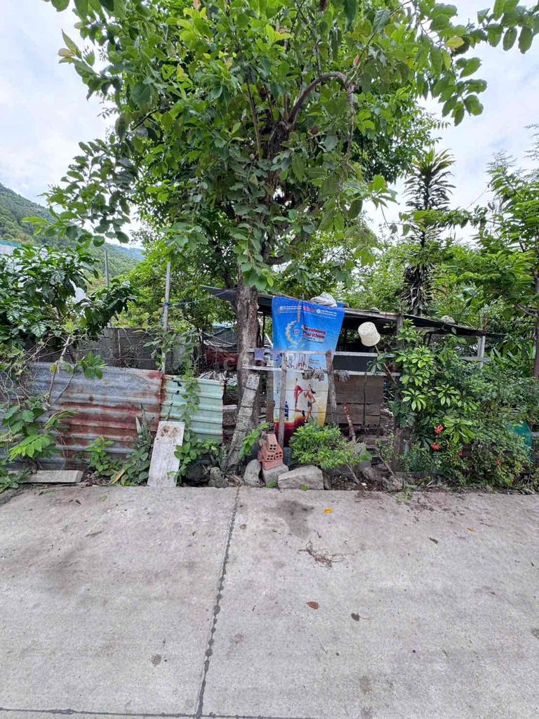 Chủ cần tiền bán nhanh lô đất vườn 318m2 Phước Đồng -P. Nam Nha Trang. - Ảnh 4