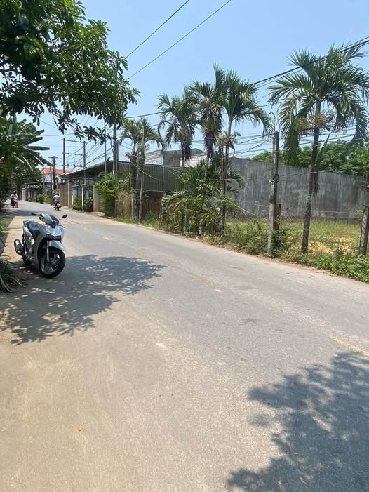 💥 Bán đất mặt tiền trung tâm xã nghĩa thuận 💥 - Ảnh 1