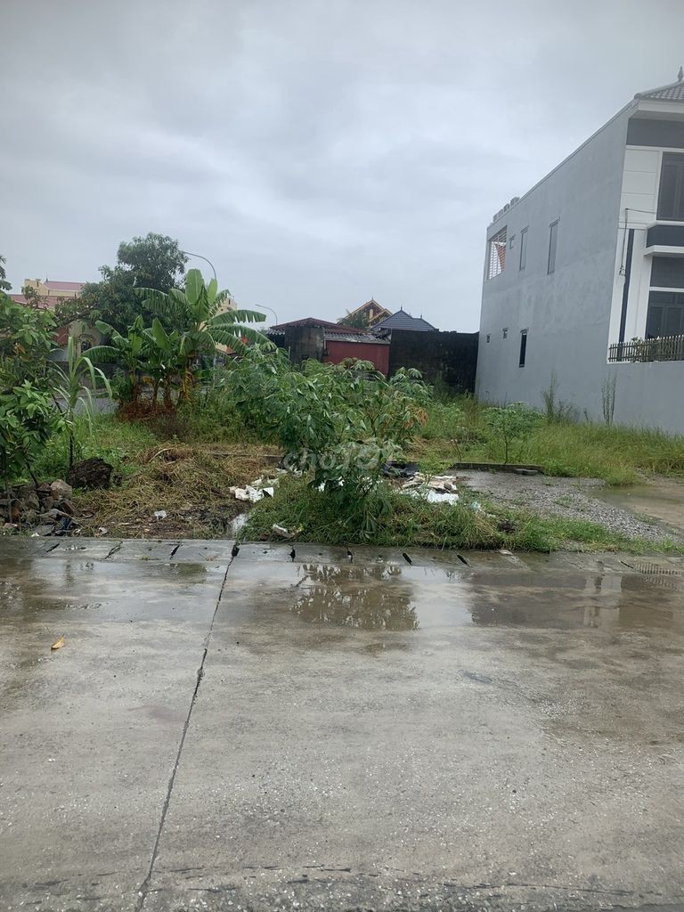 Chính chủ chuyển nhượng đất Đức Phong, Đại Đồng, Kiến Thụy - Đường 15m - Ảnh 1
