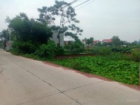 Bán đất ở làm nhà vườn, biệt thự, phân lô