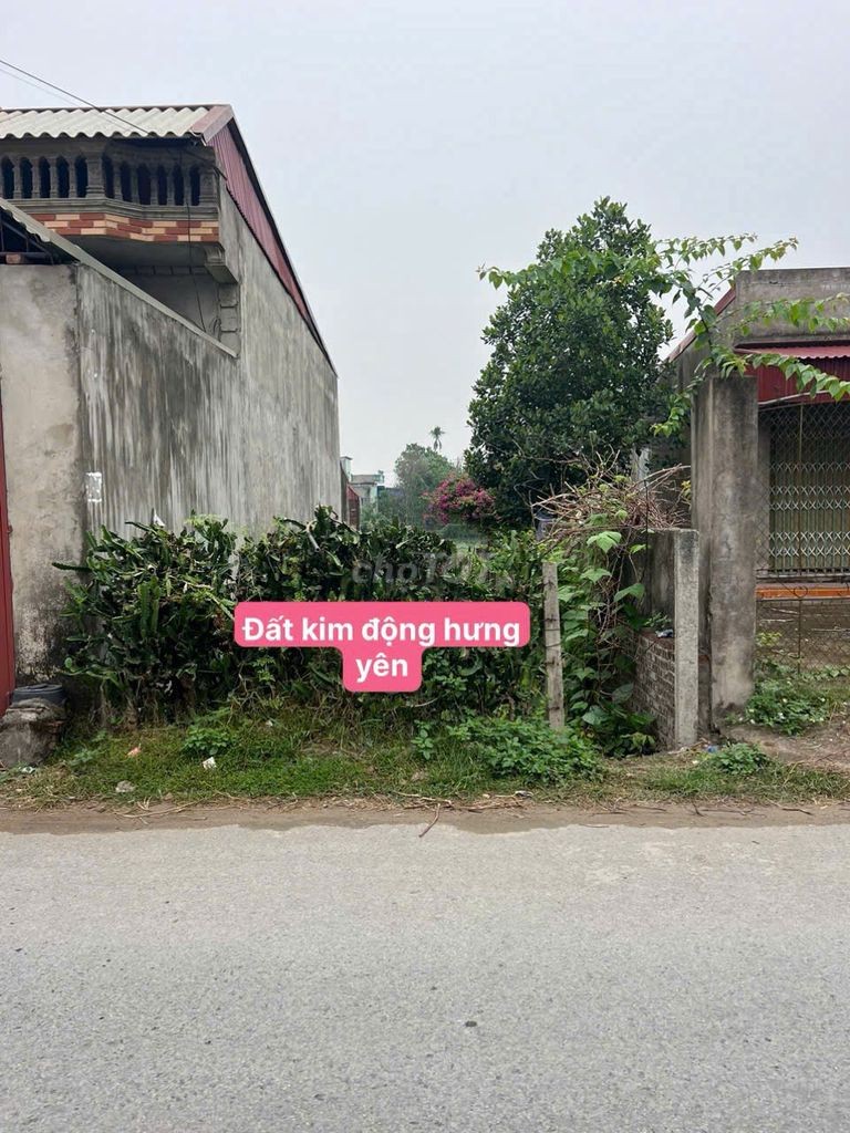 CẦN BÁN ĐẤT KIM ĐỘNG HƯNG YÊN