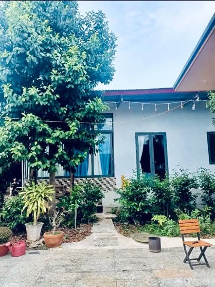 🍀 🏡BÁN NHANH NHÀ VƯỜN 3,5 SÀO – 2 MẶT TIỀN ĐƯỜNG - Ảnh 3