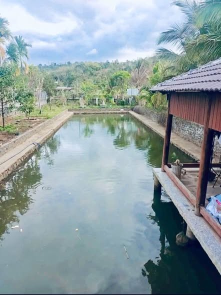 🍀 🏡BÁN NHANH NHÀ VƯỜN 3,5 SÀO – 2 MẶT TIỀN ĐƯỜNG - Ảnh 4