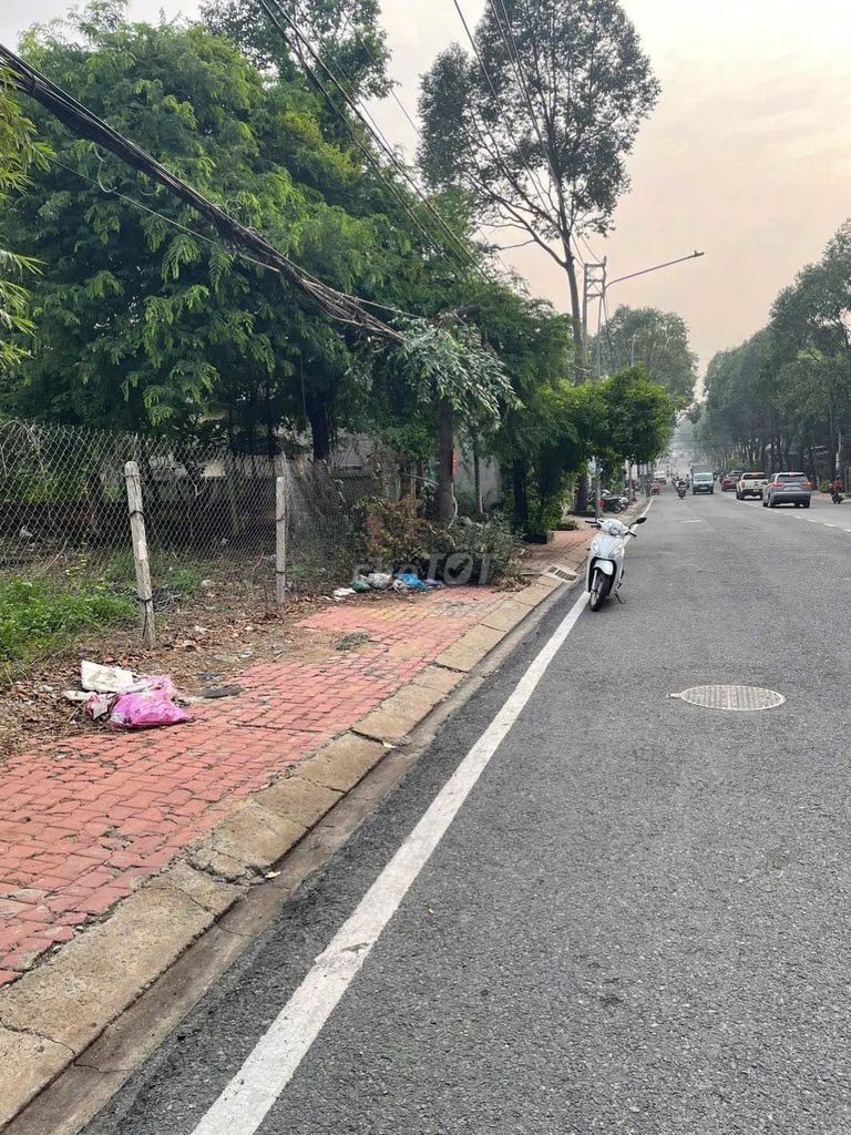 Bán đất mặt tiền Lê Hồng Phong, Phú Thọ, 488.8m2 - Ảnh 1