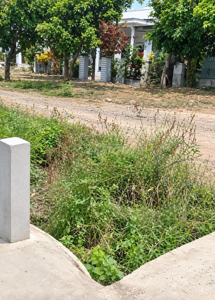 SỞ HỮU 5400M2 FULL THỔ CƯ GIÁ CHỈ 1,2TR NGAY QUỐC LỘ 26-NINH HÒA - Ảnh 4