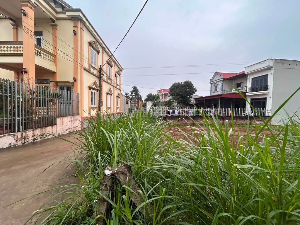 Chính chủ bán lô đất thổ cư khu 6 Lương Lỗ, Liên Minh - Ảnh 2
