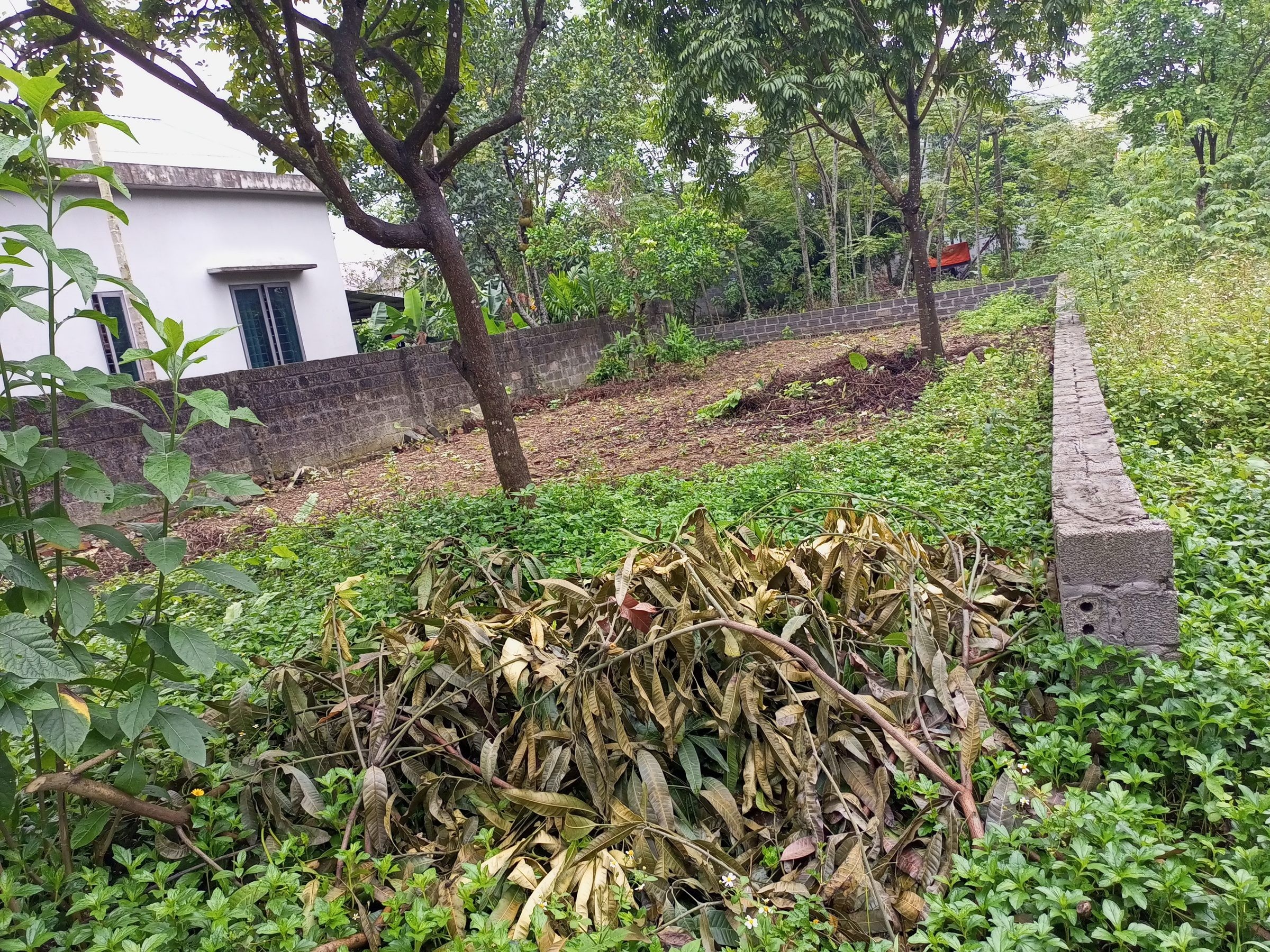 Bán giá 1.6 tỷ tại Xã Cư Yên Huyện Lương Sơn Hòa Bình - Ảnh 3
