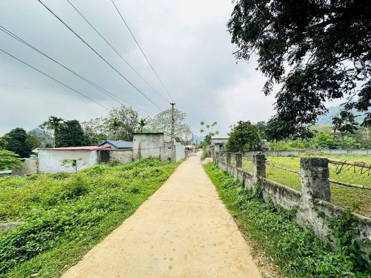 228m - 100 thổ cư - mặt tiền 7.6m - xã Liên Sơn, Lương Sơn - chỉ 1.x tỷ - Ảnh 1