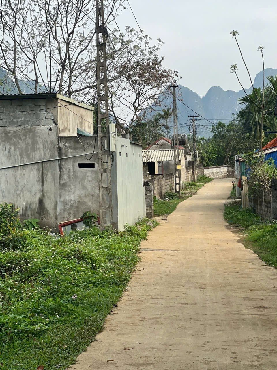 228m - 100 thổ cư - mặt tiền 7.6m - xã Liên Sơn, Lương Sơn - chỉ 1.x tỷ - Ảnh 2