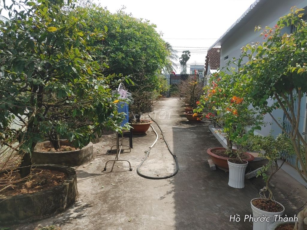 Bán nhà mặt phố DT 847.8m2 MT đường HL1 giáp sông sát chợ Tân Thành - Ảnh 3