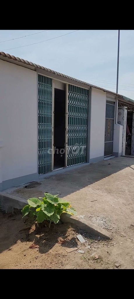 bán nhà mặt tiền đường nhựa 862 Gò Công - Ảnh 6