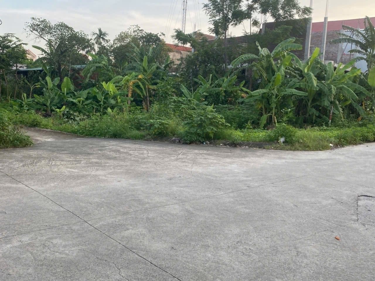 Bán Đất 103m2 có sẵn 103 m2 thổ cư giá 4.5 tỷ tại - Chọn - Phường Ninh Khánh Thành phố Ninh Bình Ninh Bình