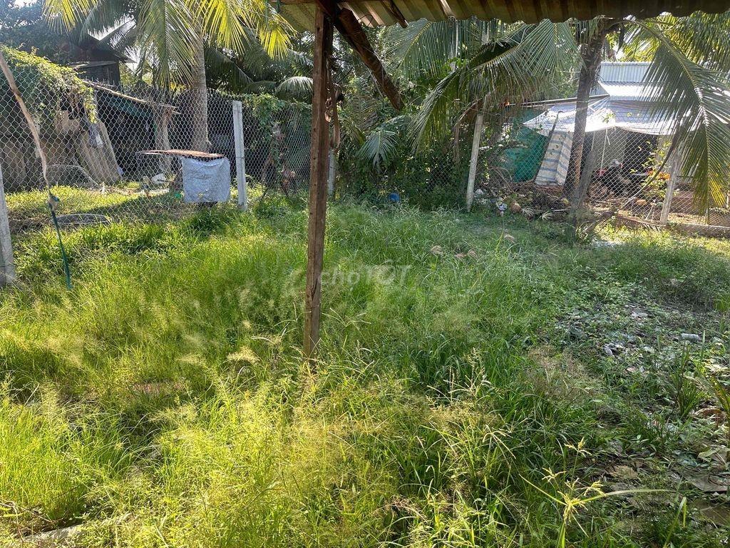 cần bán nhà cách cầu số 1 800m - Ảnh 11