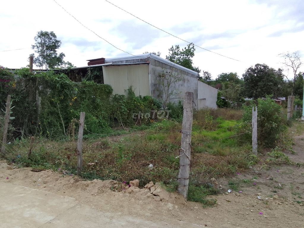 Bán đất HXH trục chính Hùng Vương 425m2 SHR 110m2 thổ cư