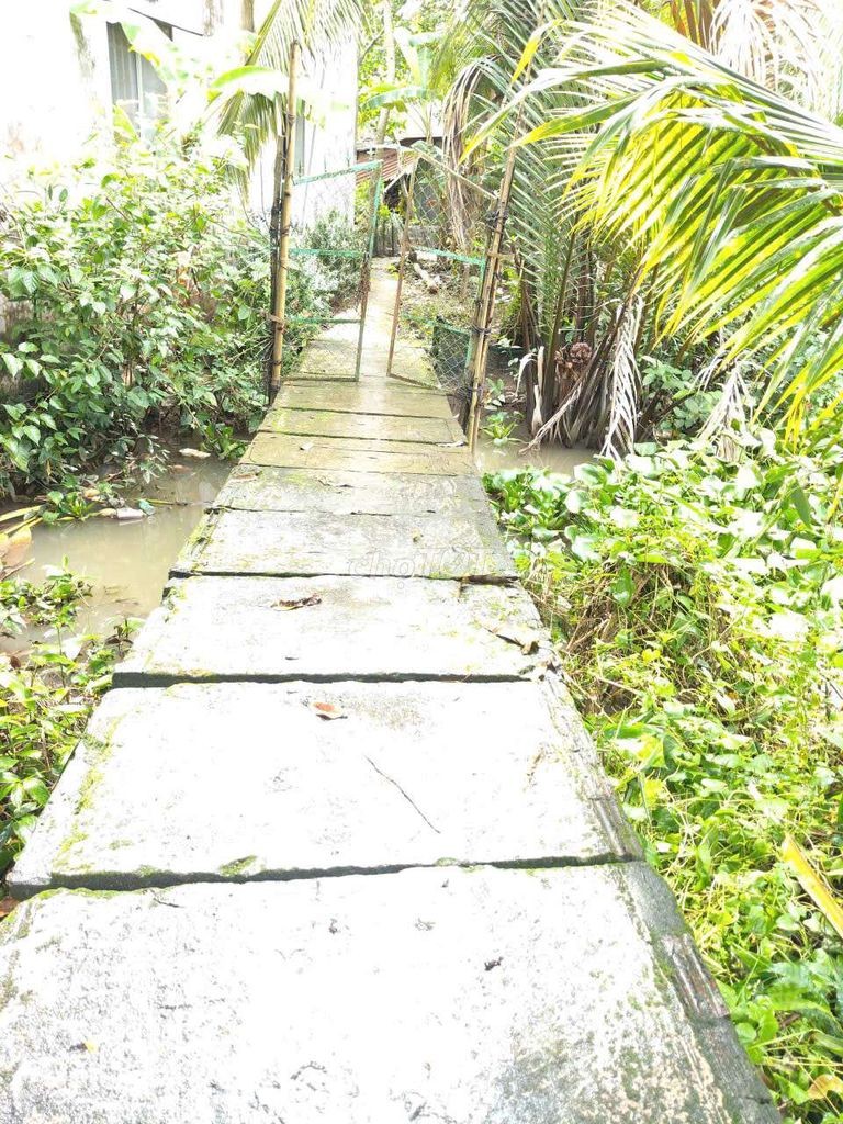 ben e cần bán 1 miếng đất - Ảnh 3
