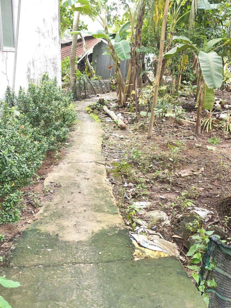 ben e cần bán 1 miếng đất - Ảnh 4