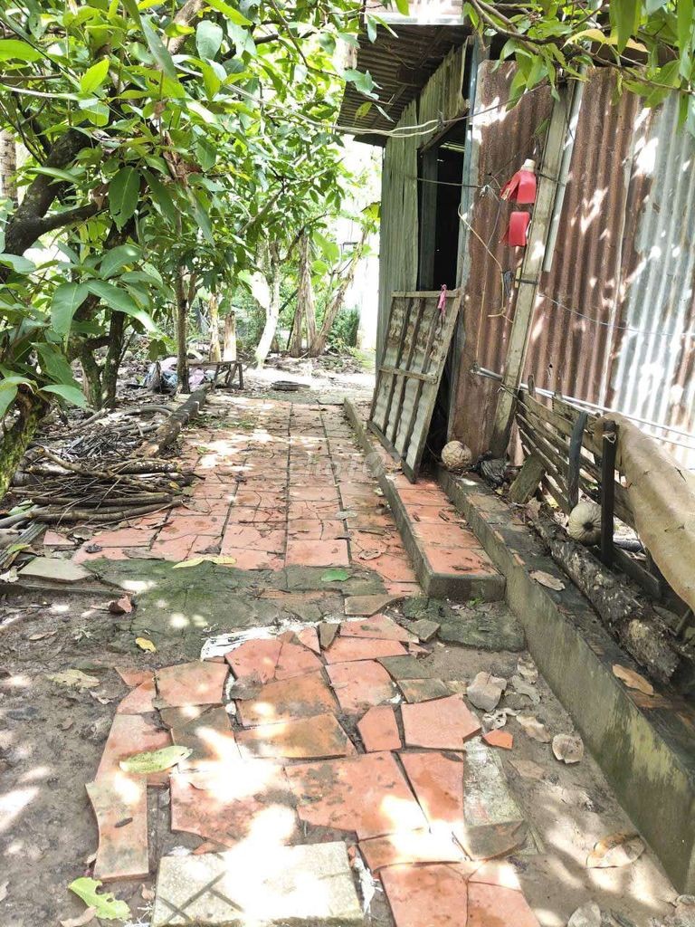 ben e cần bán 1 miếng đất - Ảnh 7