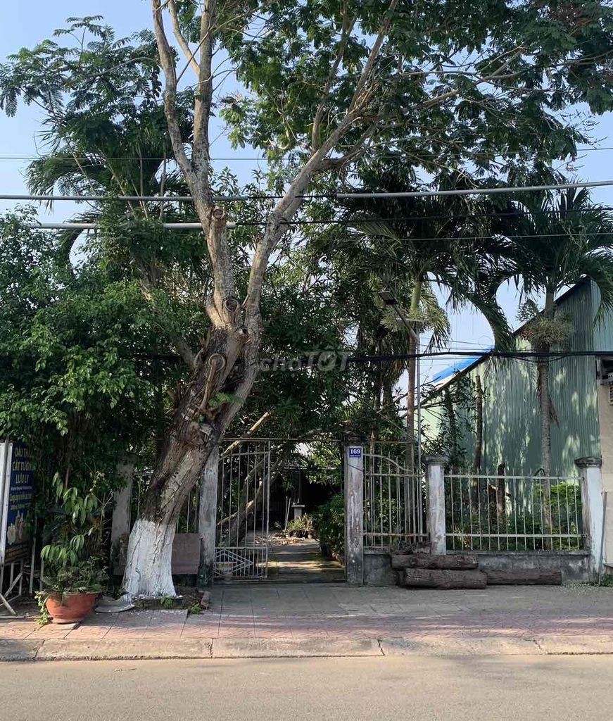 Đất KDC Tây Hồ - 02 MT Chi Lăng - Cách Trung Tâm 5p - 320m2 Full Thổ - Ảnh 3