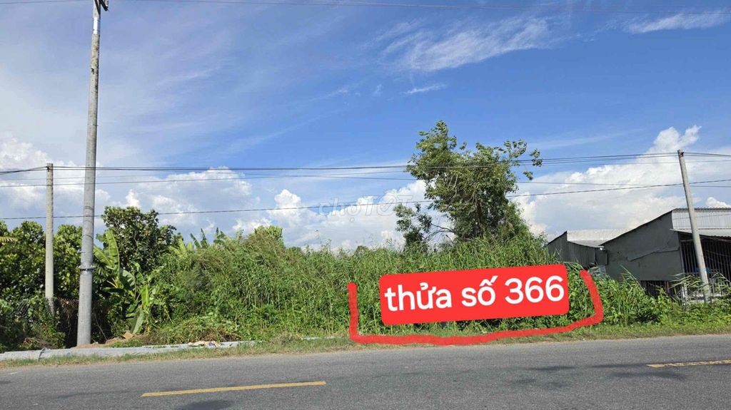 Bán nền đất thổ cư mặt tiền đường ĐT850 - Ảnh 5