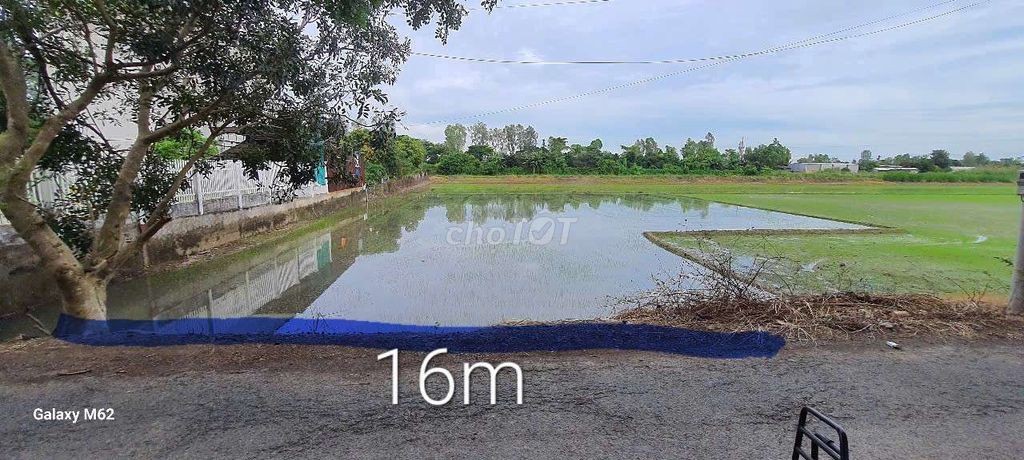 cho thuê đất cây lâu năm Bình Đức - Ảnh 1
