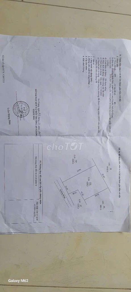 cho thuê đất cây lâu năm Bình Đức - Ảnh 2
