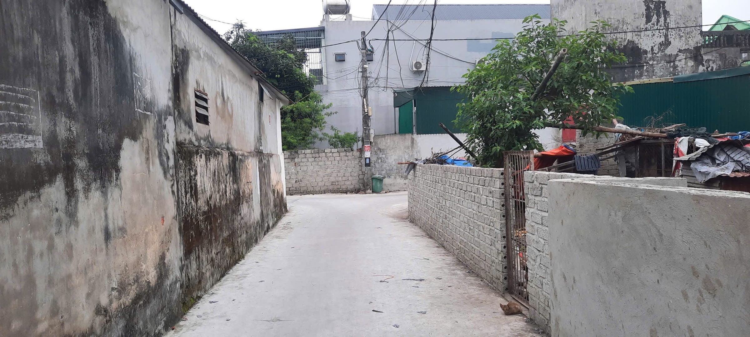NHÀ CẤP 4 rẻ Phường Quảng Thịnh, Thanh Hoá. - Ảnh 2