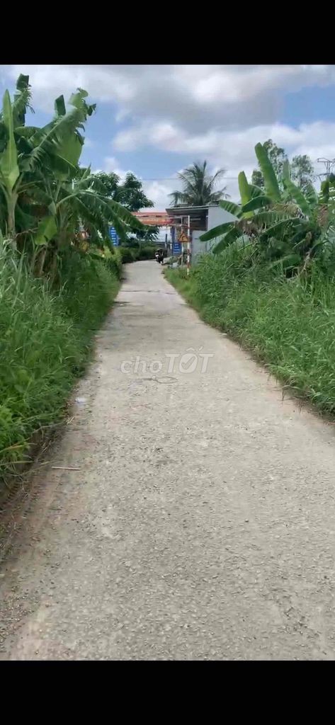 BÁN ĐẤT NỀN KINH DOANH - Ảnh 2