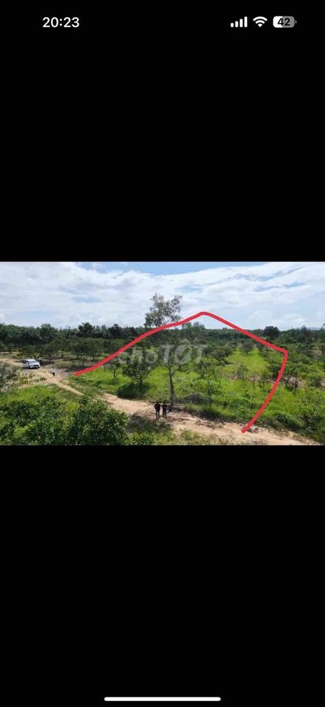 Tôi chính chủ cần bán gấp 7600m2 giá chỉ 298cả lô