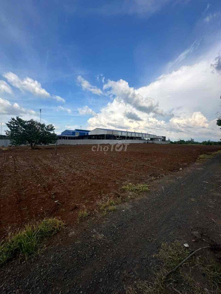 Bán Đất view cánh đồng 2096m2 có sẵn 100 m2 thổ cư giá 1.89 tỷ daklak - Ảnh 3