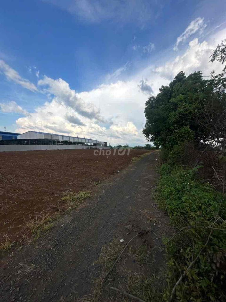 Bán Đất view cánh đồng 2096m2 có sẵn 100 m2 thổ cư giá 1.89 tỷ daklak - Ảnh 4