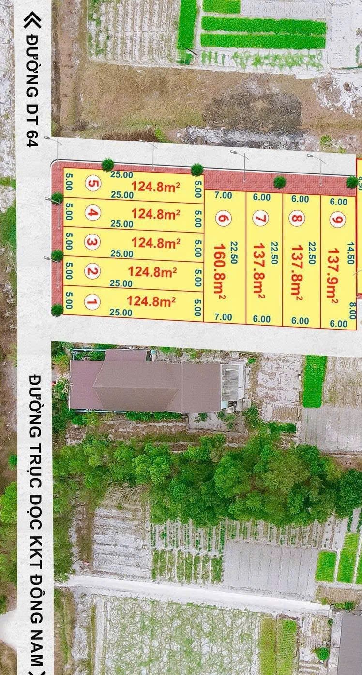 Bán Đất 124.8m2 có sẵn 70 m2 thổ cư giá 350 triệu tại đường thông cách trục dọc 2 làn khu kinh tế 35m Xã Triệu Vân Huyện Triệu Phong Quảng Trị - Ảnh 5