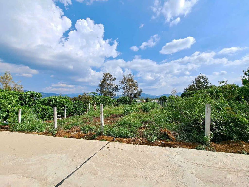500m2 đất đẹp cần bán