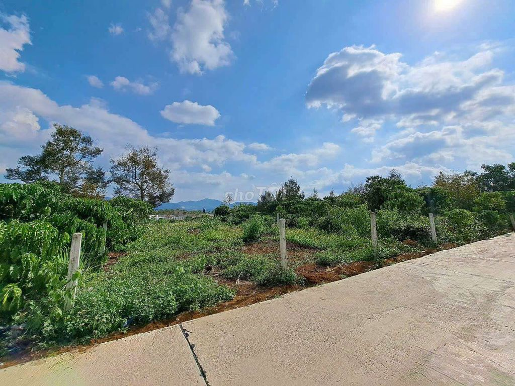 500m2 đất đẹp cần bán - Ảnh 6