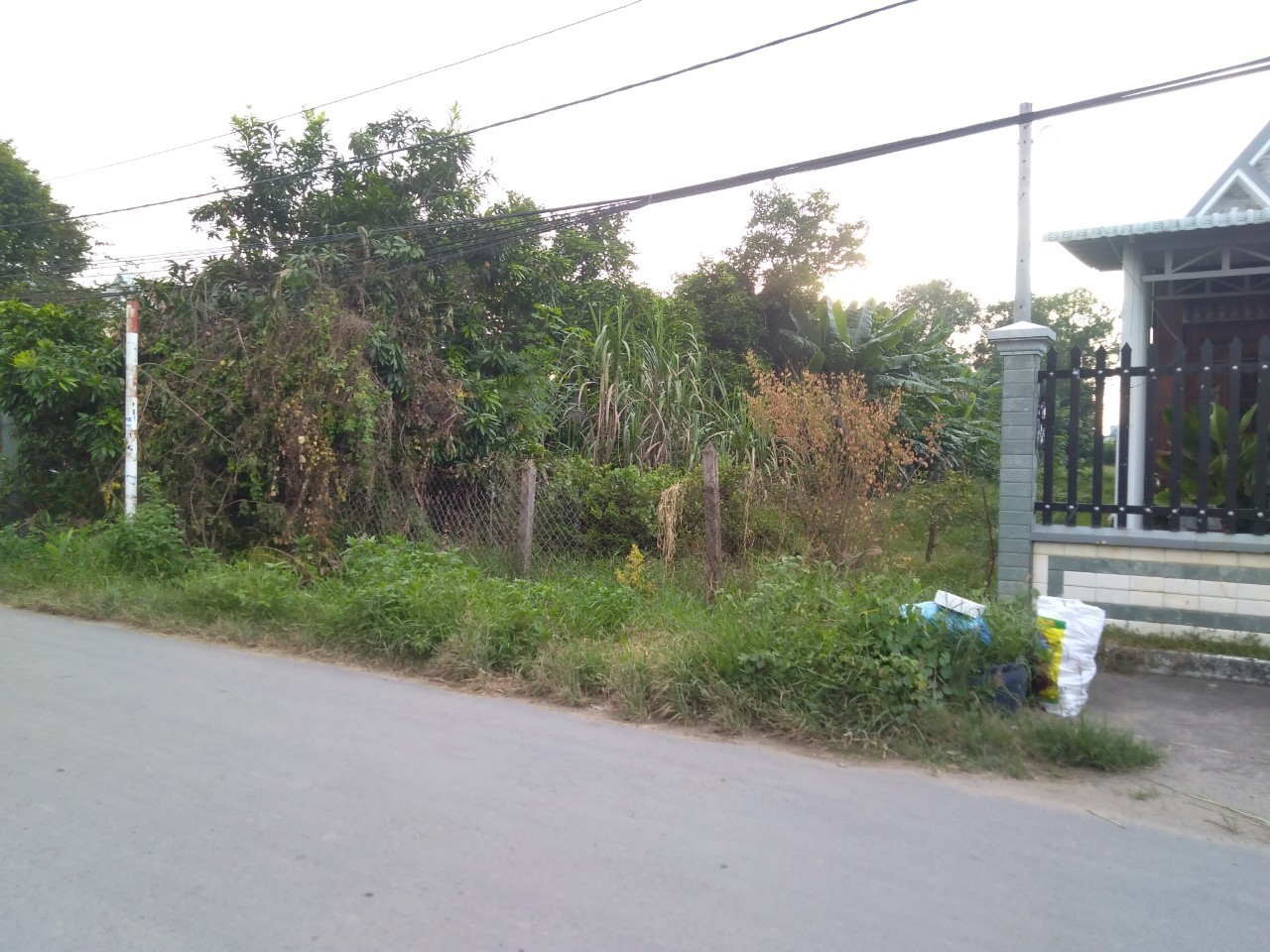 Bán 560m2 đất Củ Chi Sổ Hồng Riêng Giá Rẻ - Ảnh 1