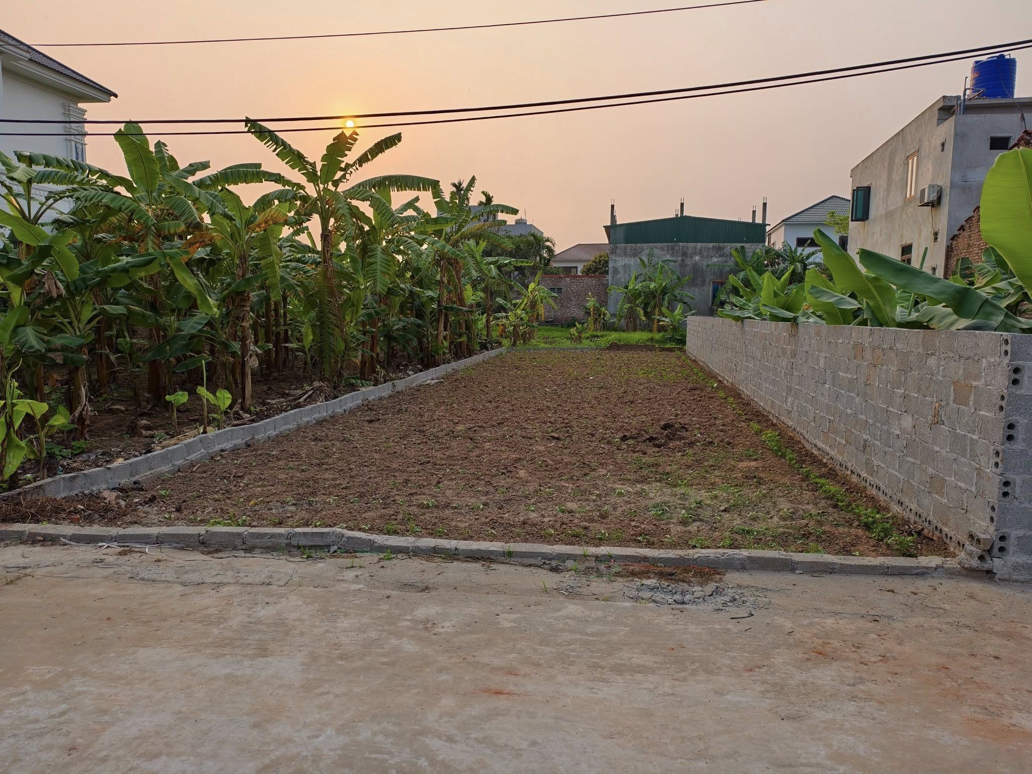 CHỦ VỠ CẦN BÁN GẤP LÔ ĐẤT CHÂU NINH 100M2  NHỈNH 1 TỶ - Ảnh 1