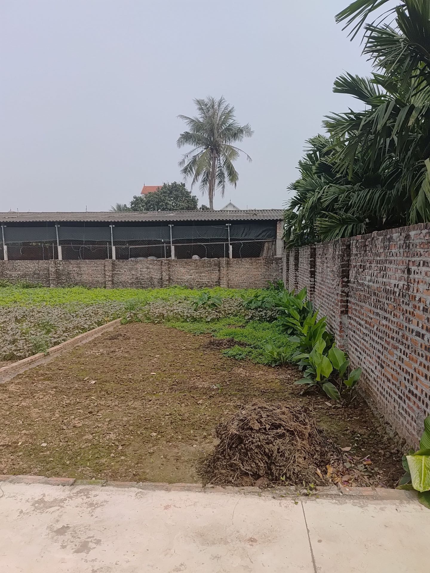 CHỈ 1 LÔ DUY NHẤT TẠI TÂN DÂN – 82M² VUÔNG ĐẸP – Ô TÔ GẦN ĐẤT! 🔥 NGÕ NÔNG – Ô TÔ TRÁNH GẦN ĐẤT – MẶT TIỀN 4,8M – ĐẦU TƯ HOẶC XÂY NHÀ ĐỀU ĐẸP - Ảnh 1