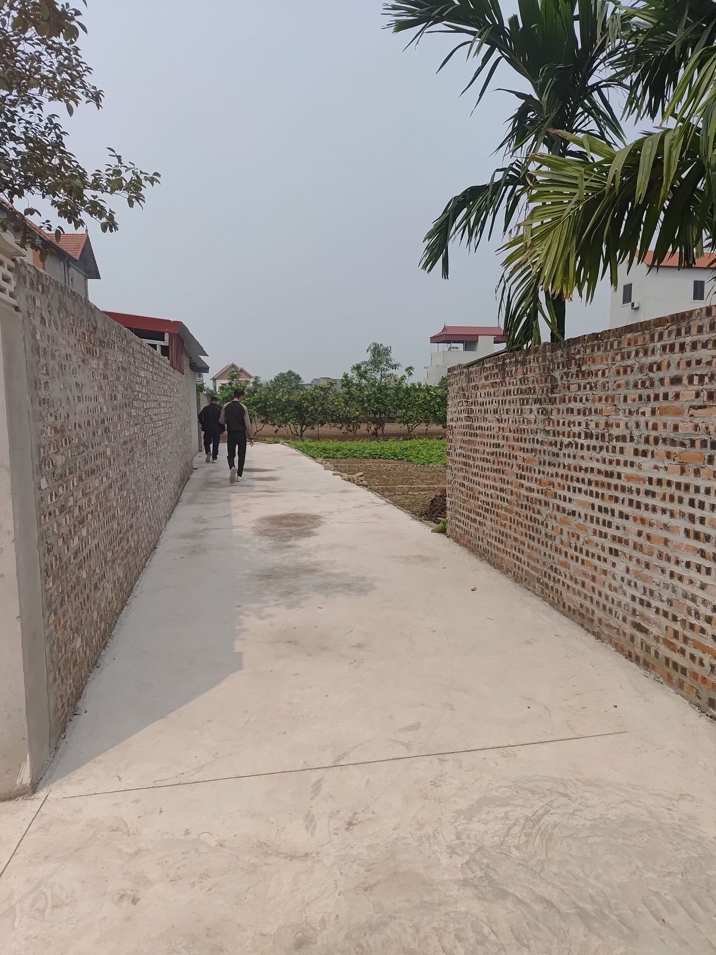 CHỈ 1 LÔ DUY NHẤT TẠI TÂN DÂN – 82M² VUÔNG ĐẸP – Ô TÔ GẦN ĐẤT! 🔥 NGÕ NÔNG – Ô TÔ TRÁNH GẦN ĐẤT – MẶT TIỀN 4,8M – ĐẦU TƯ HOẶC XÂY NHÀ ĐỀU ĐẸP - Ảnh 2