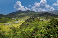 Chính chủ cần bán lô đất rộng 3,95ha, vị trí đẹp tại Xã Tả Phìn, cách trung tâm Sa Pa chỉ 8km - Ảnh 2