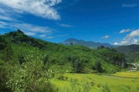 Chính chủ cần bán lô đất rộng 3,95ha, vị trí đẹp tại Xã Tả Phìn, cách trung tâm Sa Pa chỉ 8km - Ảnh 3