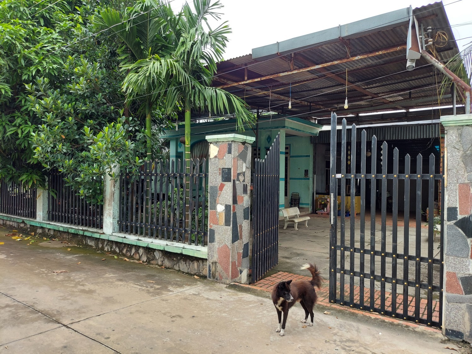 Cần Bán Nhà 861m2 Tại Thị Trấn Hòa Thành ,Hòa Thành ,Tây Ninh