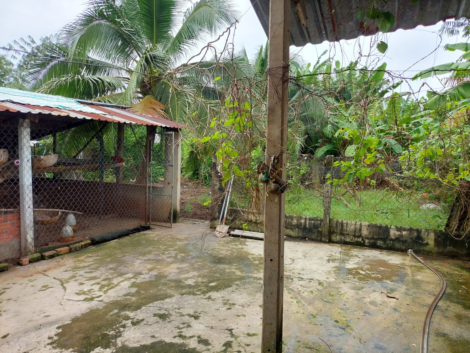 Cần Bán Nhà 861m2 Tại Thị Trấn Hòa Thành ,Hòa Thành ,Tây Ninh