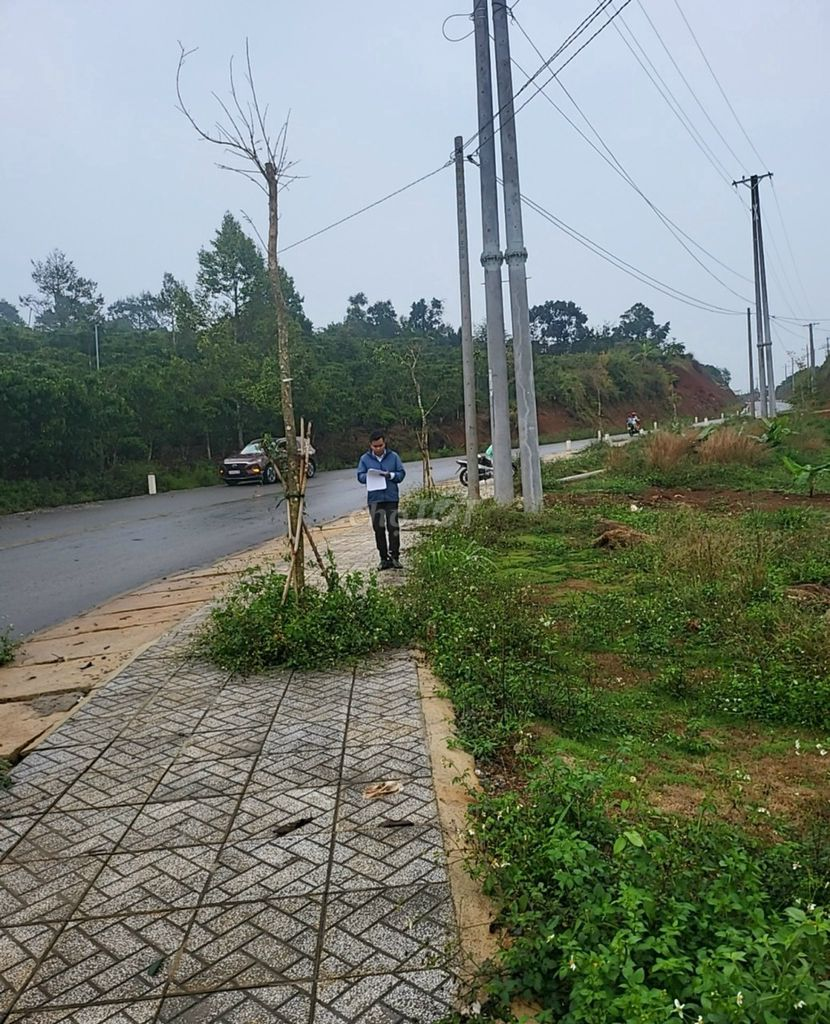 BÁN ĐẤT MẶT TIỀN ÂU CƠ, NGAY CẦU ĐẠI HẢI, Tân Lạc, tp Bảo Lộc.