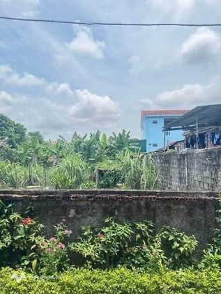 Bán lô đất ngay sát trục đường Lý Thái Tổ sầm uất tại thành phố Đồng Hới cũ - Ảnh 2