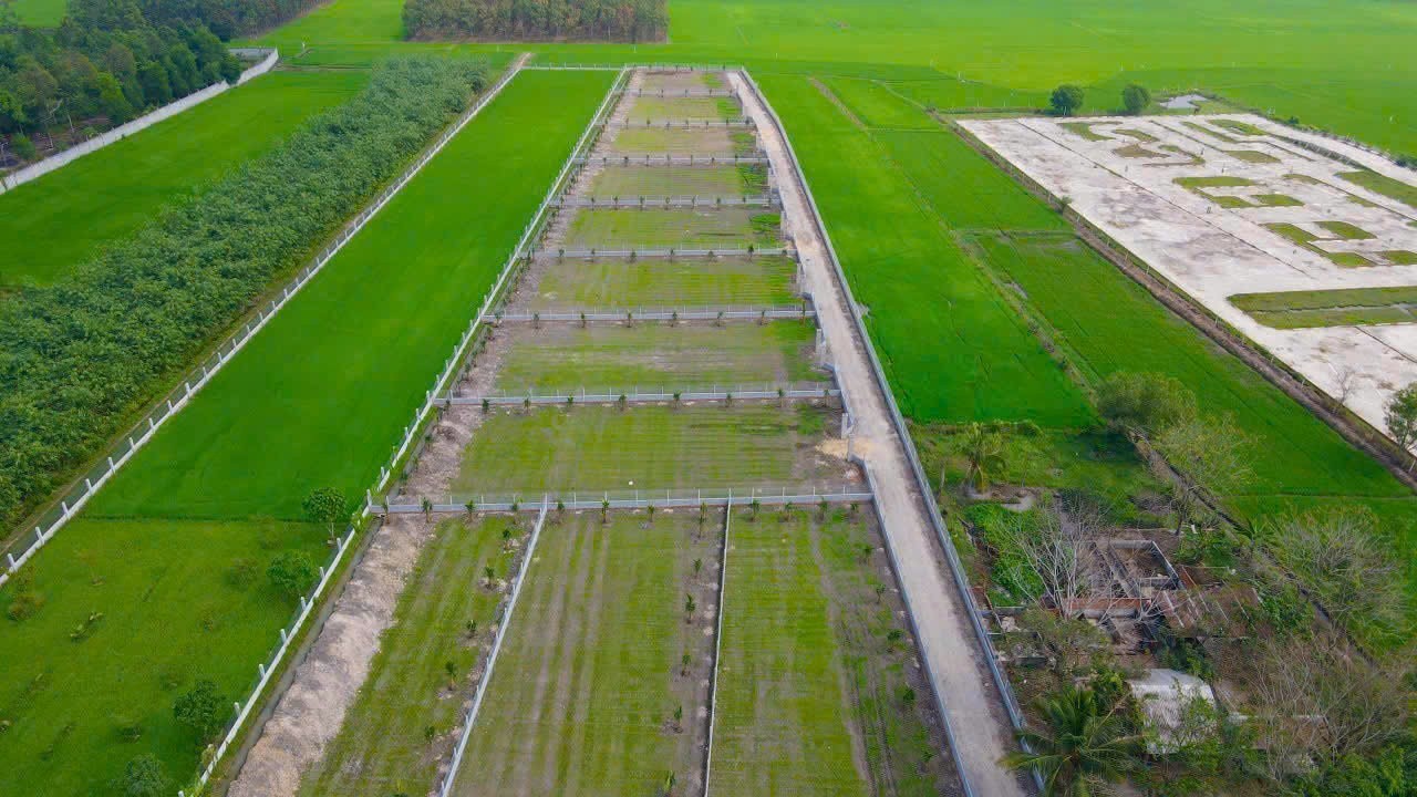 Giá Bán: 950 Triệu Sở Hữu Ngay đất Vườn Tại Gò Dầu, Tây Ninh Với 1000m2, Sẵn Thổ Cư 100m2 !!