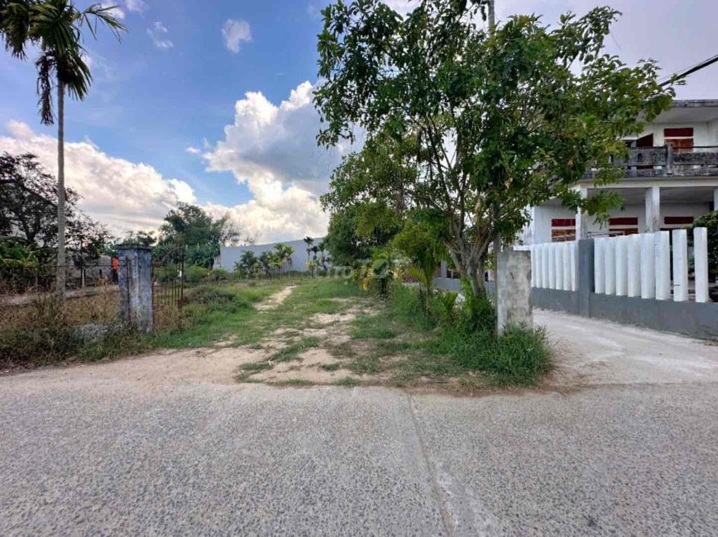 CHÍNH CHỦ CẦN TIỀN BÁN ĐẤT HOÀ XUÂN GIÁ RẺ - Ảnh 3