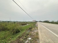 Bán đất Cúc Phương Lô 1077, Quốc Lộ 12B, 1,25 tỷ, 100m2 - Ảnh 3